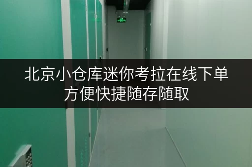 北京小仓库迷你考拉在线下单方便快捷随存随取