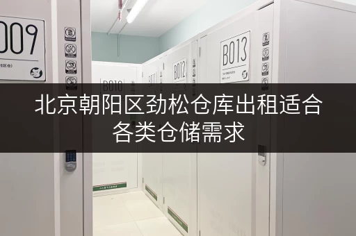 北京朝阳区劲松仓库出租适合各类仓储需求