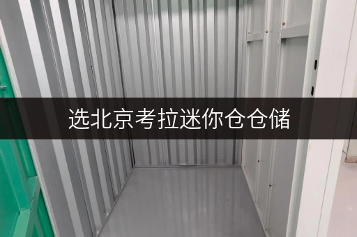 选北京考拉迷你仓仓储，专人管理，24小时监控让存储更安心