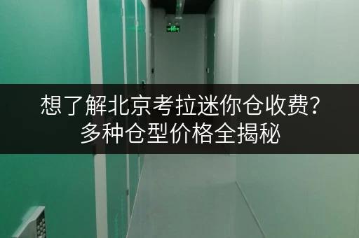 想了解北京考拉迷你仓收费？多种仓型价格全揭秘