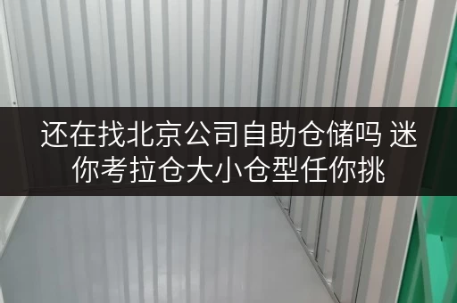 还在找北京公司自助仓储吗 迷你考拉仓大小仓型任你挑