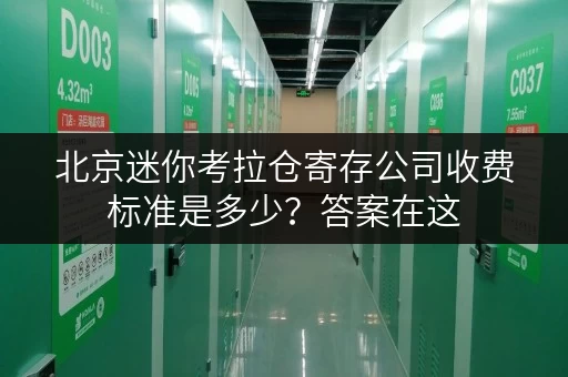 北京迷你考拉仓寄存公司收费标准是多少？答案在这