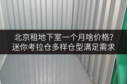 北京租地下室一个月啥价格？迷你考拉仓多样仓型满足需求