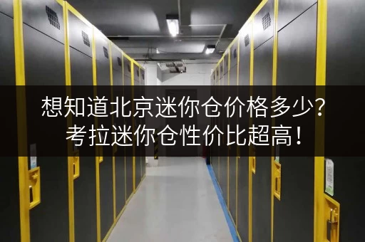 想知道北京迷你仓价格多少？考拉迷你仓性价比超高！