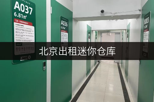 北京出租迷你仓库,各区都有,满足个人和企业存储需求 北京出租迷你仓库,各区都有,满足个人和企业存储需求