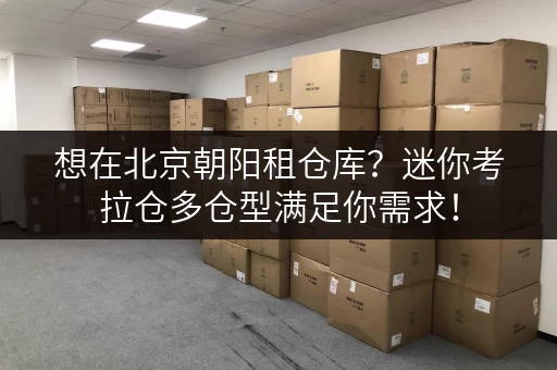 想在北京朝阳租仓库？迷你考拉仓多仓型满足你需求！