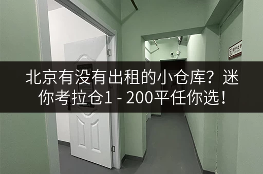 北京有没有出租的小仓库？迷你考拉仓1 - 200平任你选！