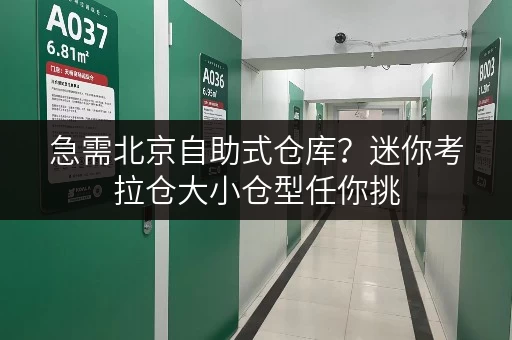 急需北京自助式仓库？迷你考拉仓大小仓型任你挑