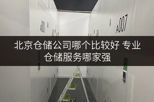 北京仓储公司哪个比较好 专业仓储服务哪家强