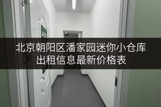 北京朝阳区潘家园迷你小仓库出租信息最新价格表
