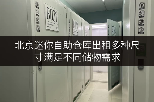 北京迷你自助仓库出租多种尺寸满足不同储物需求