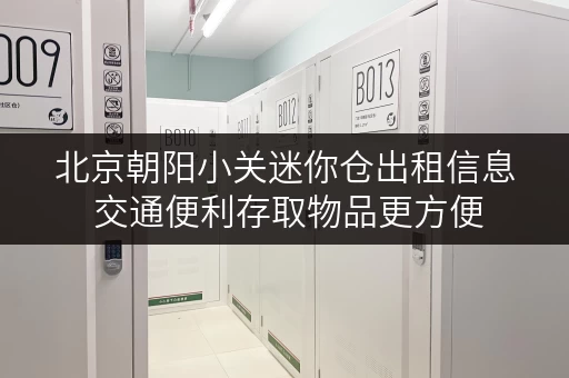 北京朝阳小关迷你仓出租信息 交通便利存取物品更方便