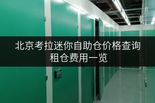 北京考拉迷你自助仓价格查询 租仓费用一览