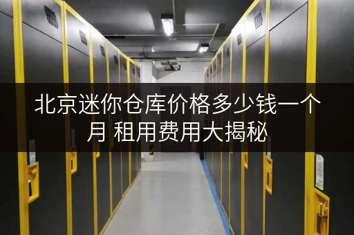 北京迷你仓库价格多少钱一个月 租用费用大揭秘