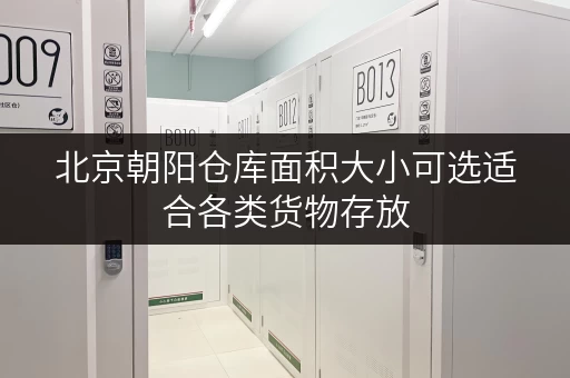 北京朝阳仓库面积大小可选适合各类货物存放