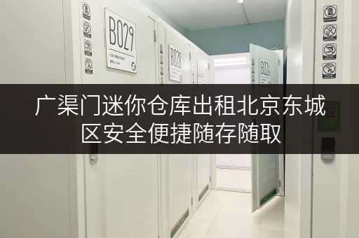 广渠门迷你仓库出租北京东城区安全便捷随存随取