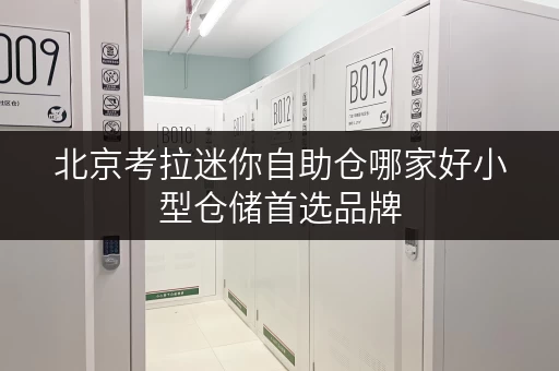北京考拉迷你自助仓哪家好小型仓储首选品牌