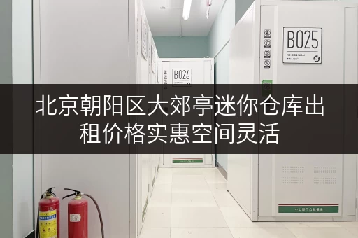 北京朝阳区大郊亭迷你仓库出租价格实惠空间灵活