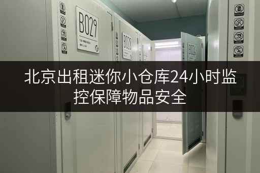 北京出租迷你小仓库24小时监控保障物品安全
