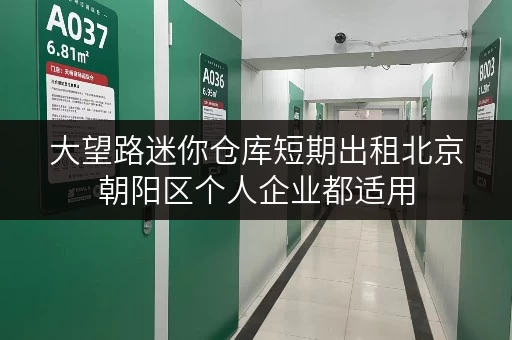 大望路迷你仓库短期出租北京朝阳区个人企业都适用