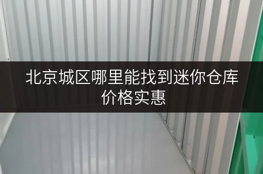 北京城区哪里能找到迷你仓库 价格实惠