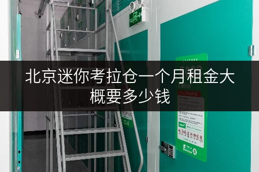 北京迷你考拉仓一个月租金大概要多少钱