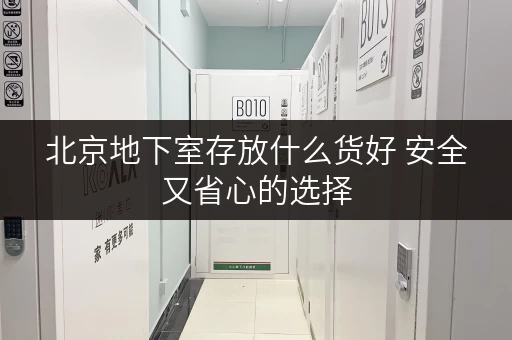 北京地下室存放什么货好 安全又省心的选择