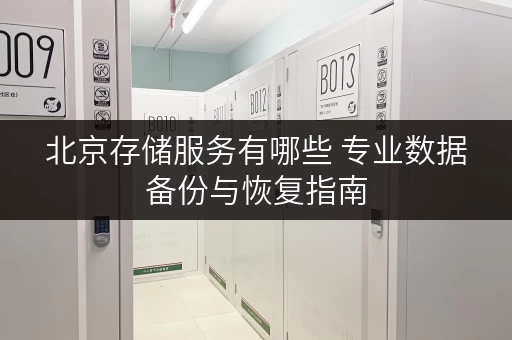 北京存储服务有哪些 专业数据备份与恢复指南 北京存储服务有哪些 专业数据备份与恢复指南