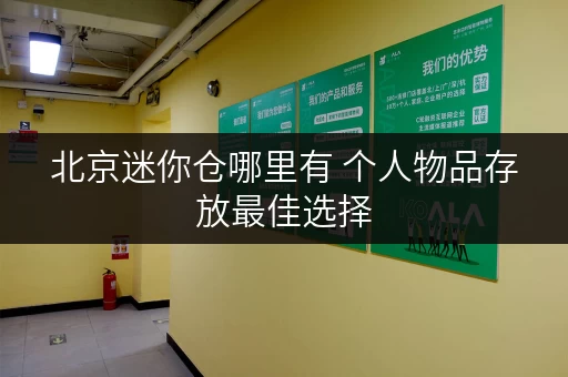 北京迷你仓哪里有 个人物品存放最佳选择
