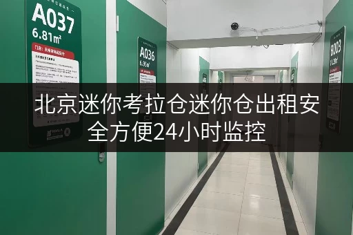 北京迷你考拉仓迷你仓出租安全方便24小时监控