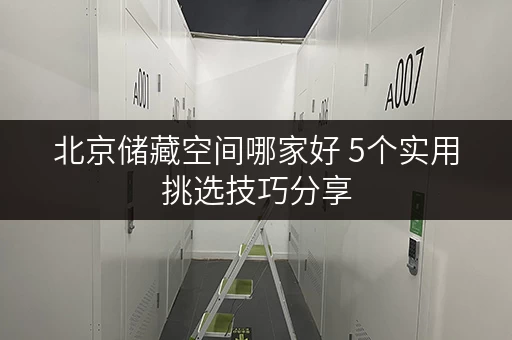 北京储藏空间哪家好 5个实用挑选技巧分享