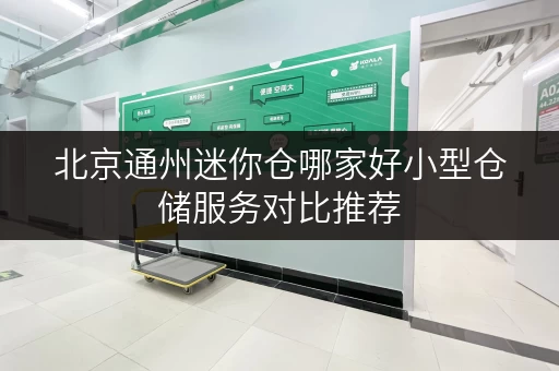 北京通州迷你仓哪家好小型仓储服务对比推荐