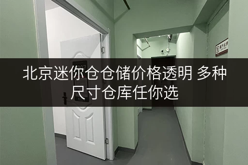 北京迷你仓仓储价格透明 多种尺寸仓库任你选