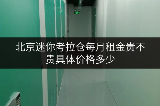 北京迷你考拉仓每月租金贵不贵具体价格多少