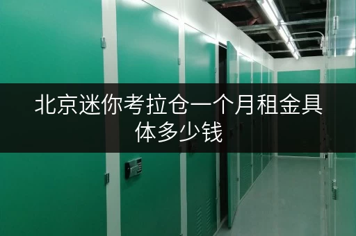北京迷你考拉仓一个月租金具体多少钱 北京迷你考拉仓一个月租金具体多少钱
