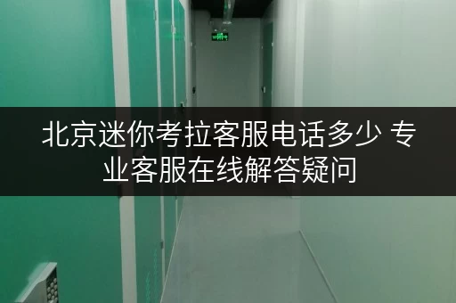 北京迷你考拉客服电话多少 专业客服在线解答疑问