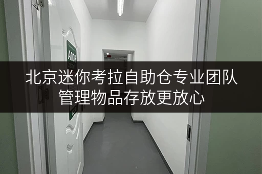 北京迷你考拉自助仓专业团队管理物品存放更放心