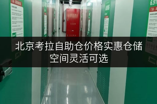 北京考拉自助仓价格实惠仓储空间灵活可选