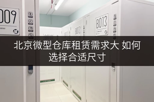 北京微型仓库租赁需求大 如何选择合适尺寸