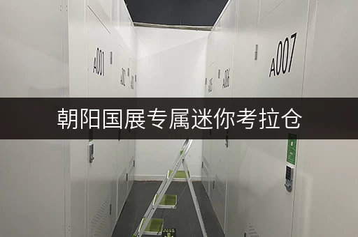 朝阳国展专属迷你考拉仓,让货物存放更省心! 朝阳国展专属迷你考拉仓,让货物存放更省心!