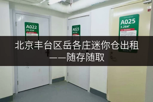 北京丰台区岳各庄迷你仓出租——随存随取，让生活更便捷