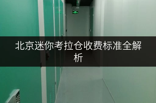 北京迷你考拉仓收费标准全解析,随存随取,便捷无忧 北京迷你考拉仓收费标准全解析,随存随取,便捷无忧