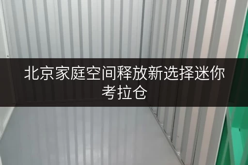北京家庭空间释放新选择迷你考拉仓,品质生活从此更轻松 北京家庭空间释放新选择迷你考拉仓,品质生活从此更轻松