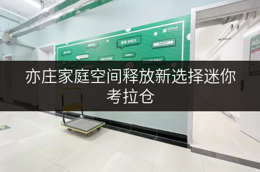 亦庄家庭空间释放新选择迷你考拉仓,品质生活从此无忧 亦庄家庭空间释放新选择迷你考拉仓,品质生活从此无忧