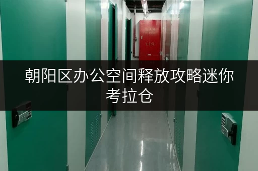 朝阳区办公空间释放攻略迷你考拉仓,让办公物品存放更轻松 朝阳区办公空间释放攻略迷你考拉仓,让办公物品存放更轻松
