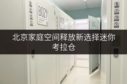 北京家庭空间释放新选择迷你考拉仓,租仓一月费用全解析 北京家庭空间释放新选择迷你考拉仓,租仓一月费用全解析