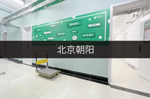 北京朝阳,空间释放新选择——迷你考拉仓,品质生活从此更轻松 北京朝阳,空间释放新选择——迷你考拉仓,品质生活从此更轻松