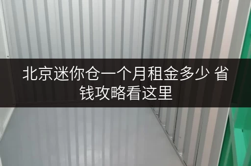 北京迷你仓一个月租金多少 省钱攻略看这里