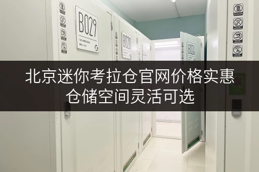 北京迷你考拉仓官网价格实惠仓储空间灵活可选