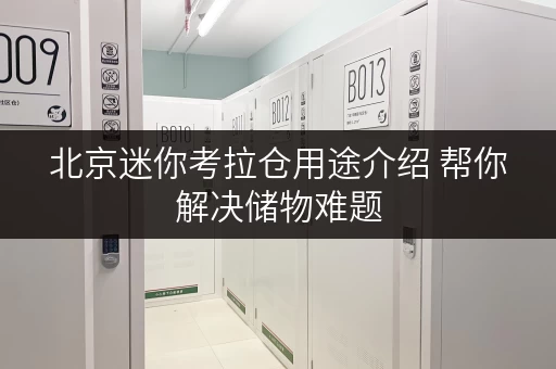 北京迷你考拉仓用途介绍 帮你解决储物难题